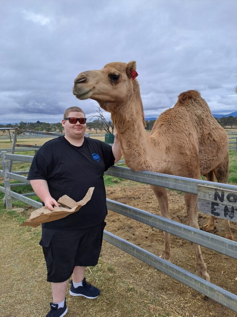 Rob patting a camel at Summerland Camel Farm.